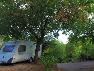 Pitches under the trees