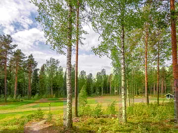 Pitches set among the trees