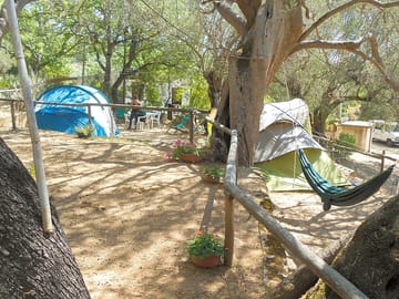 Pitch area