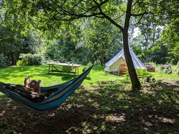Guest relaxing in a hammock
