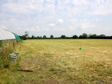 Spacious field