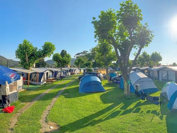 Pitches on site