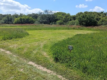 Pitch 4