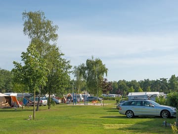 View of the site