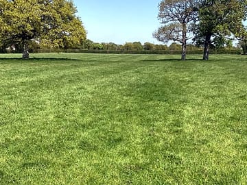 View across the field