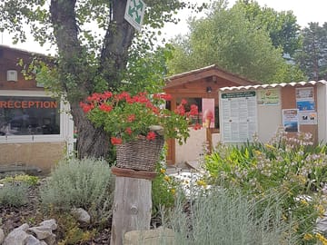 Around the site
