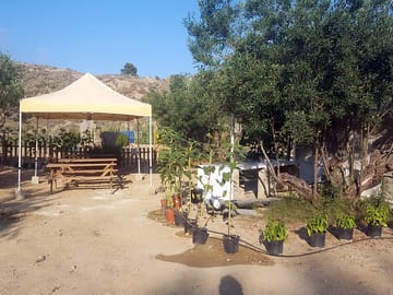 Communal dining, cooking and wash-up area with hot water and eco-soap