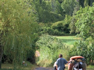 Donkey rides available near the site