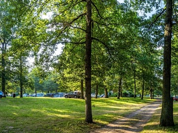 Grassy, shaded pitches