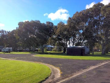 Tree-lined park