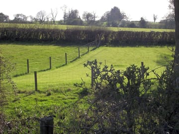 Across the paddock