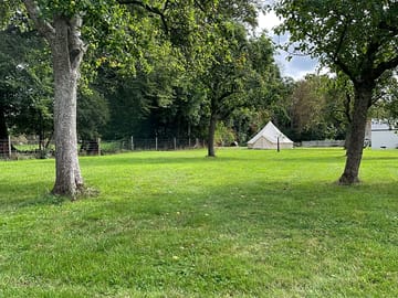 View from the paddock