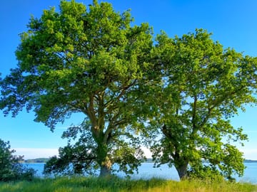 Beautiful scenery