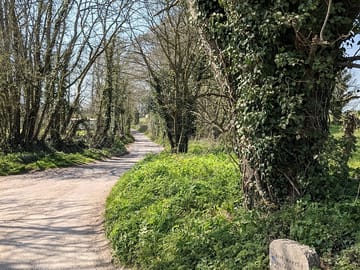 The lane up to the site