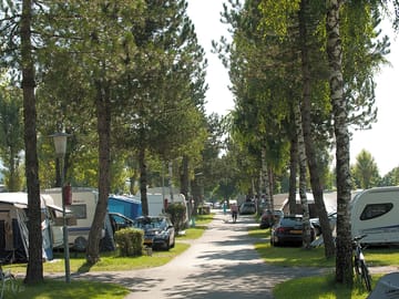 View of the site