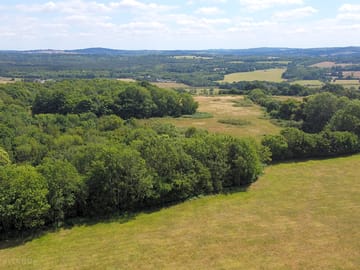 The main field