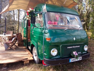 Hettie front shot