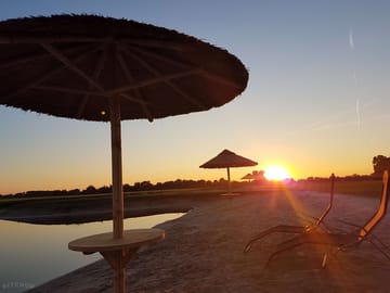 Sunset over the park