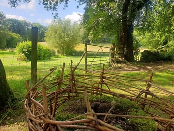 Countryside scenery