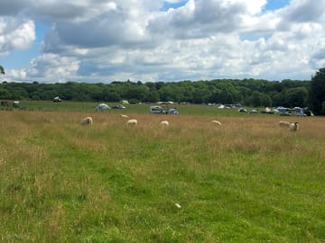 Set on a working farm