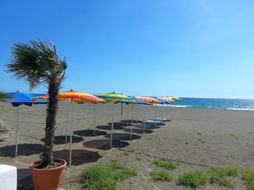 The beach