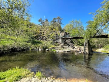 Around the site