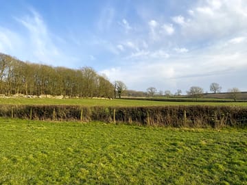 Surrounding fields