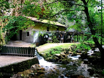 Around the site