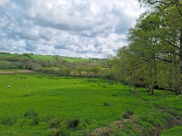 Views from the site