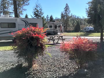 Beautiful fall colors