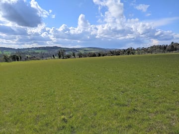 A view from the site