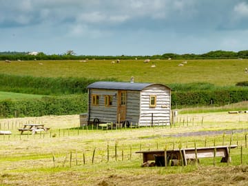 Tamar shepherd's hut