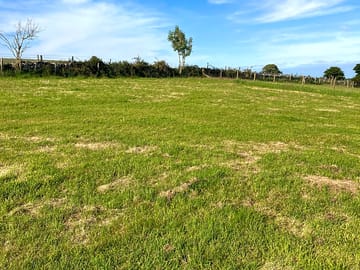 Neatly mown grass pitches in a meadow, overlooking the mountains