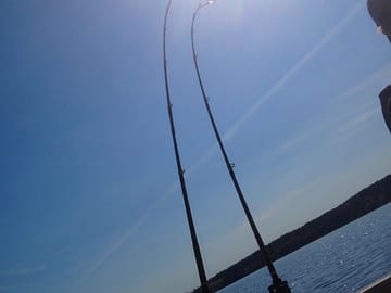 Fishing on site