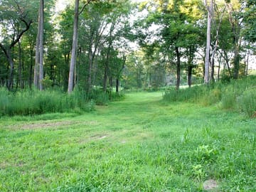 Surrounded by nature