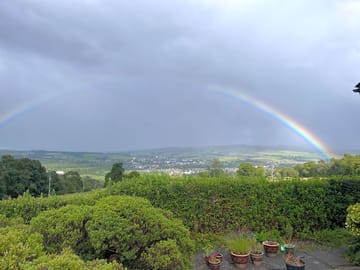 View from the site