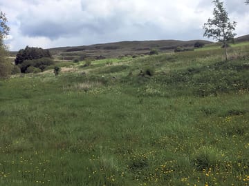 View from the pitches