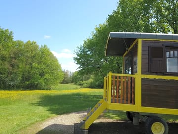 Bouton d'or caravan