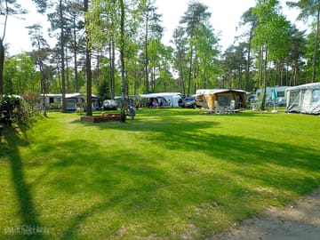 Wooded site