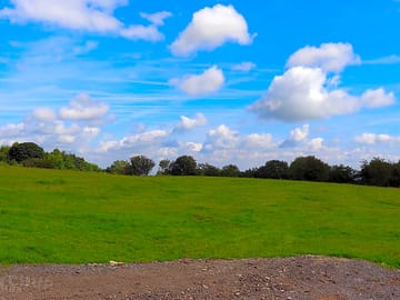 Grassy pitches