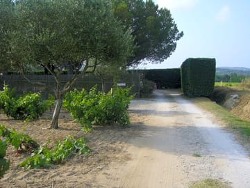 Entrance to the site
