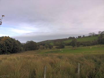 The views