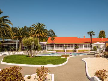 Garden around the pool