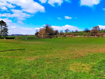 Open grass pitches
