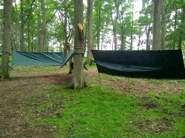 Hammocks