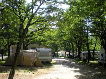 Pathway around the site