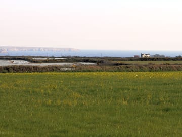 Lizard point in the distance