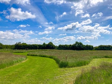Track and pitches in Hawthorn field