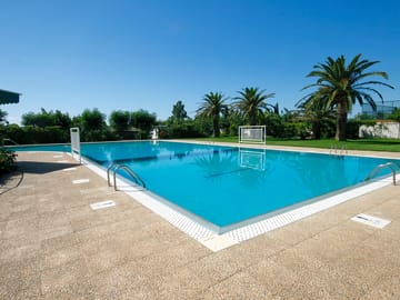 The swimming pool