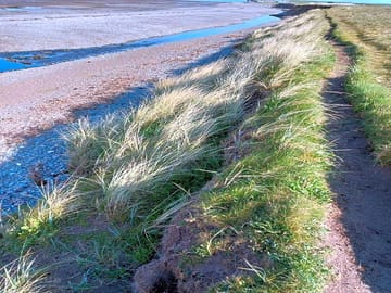 Seaside trails.